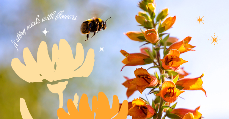 꽃이 만든 이야기